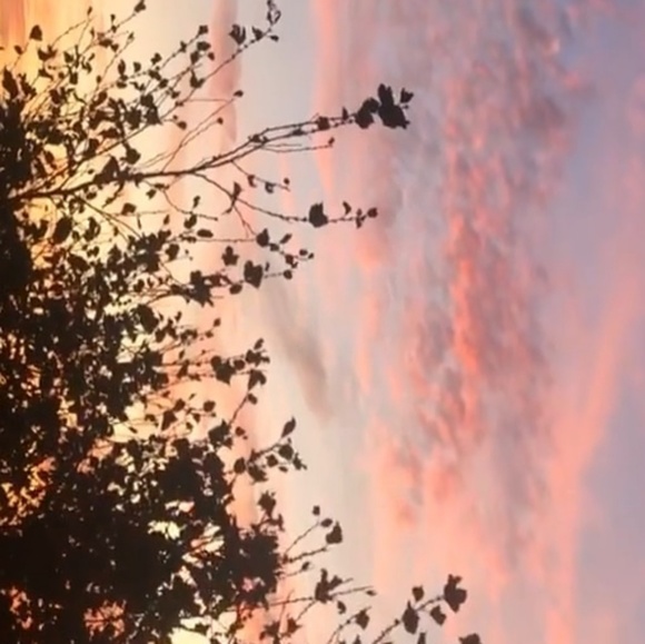 daemarie15